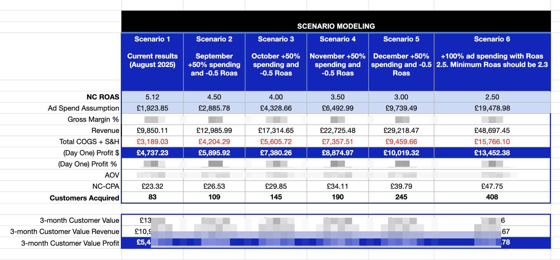 Scenario Modeling and Revenue Projections
